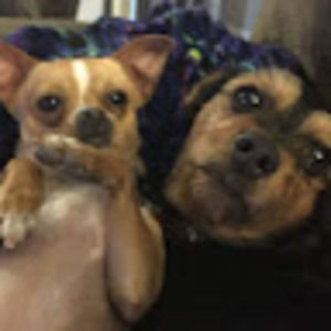 Meet your Posher, Mary